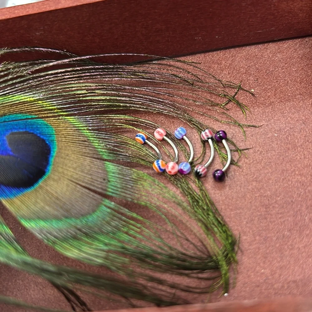 16g Curved Multi-Color Eyebrow Rings (660211) - Picture 3 of 4